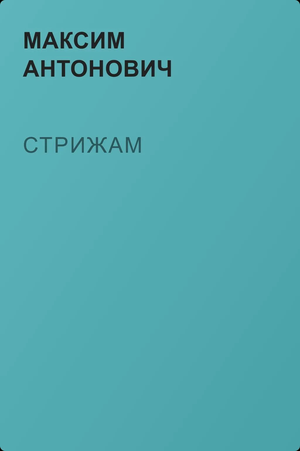 Стрижам — обложка книги