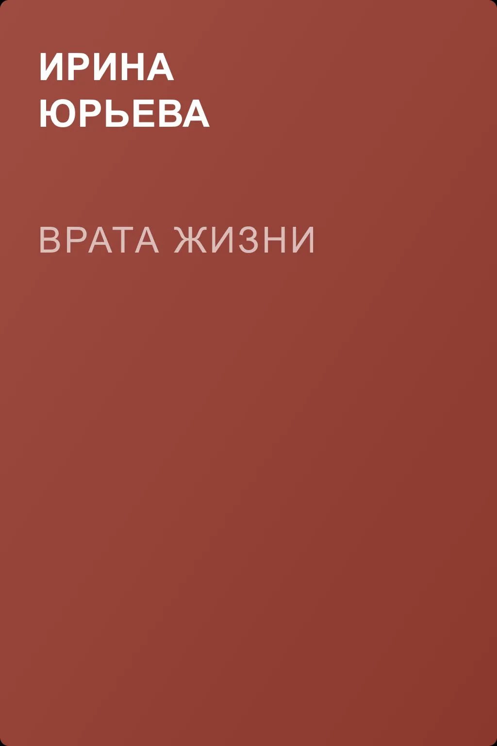 Врата жизни — обложка книги