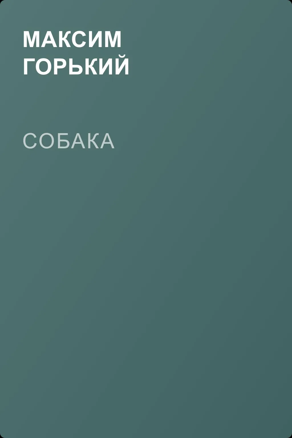 Собака — обложка книги