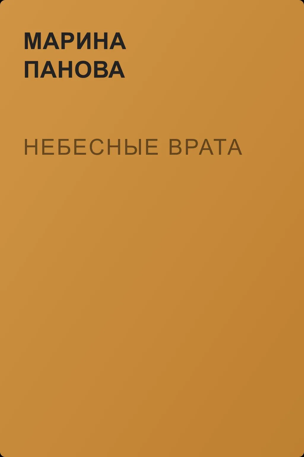 Небесные врата — обложка книги