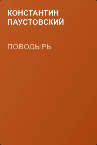 Поводырь — обложка книги