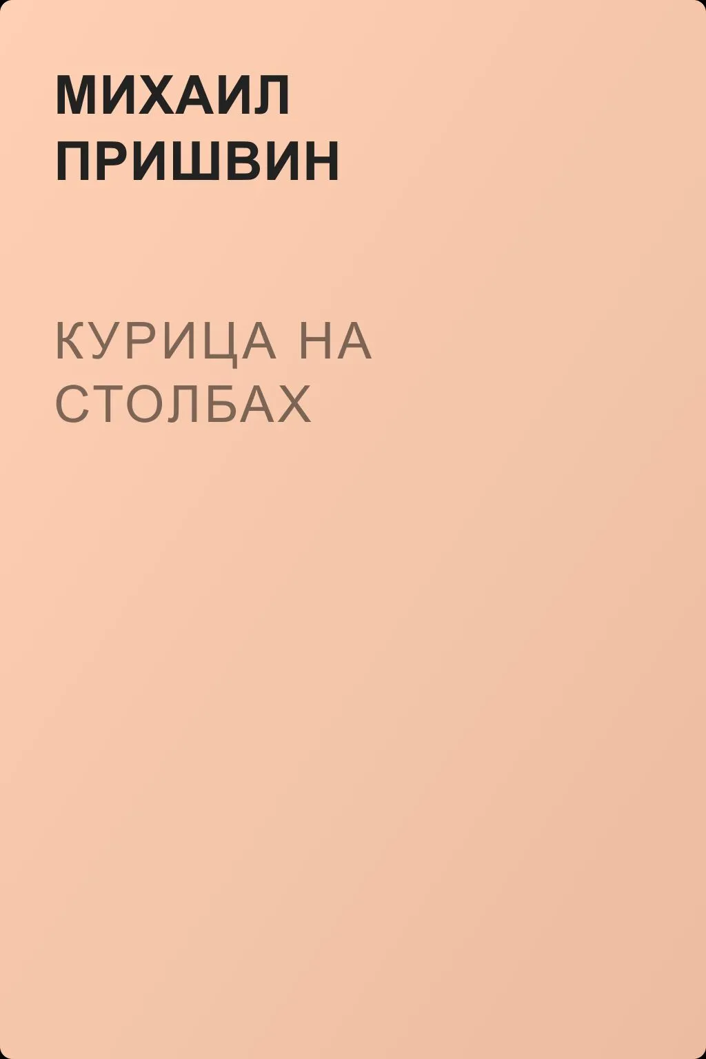Курица на столбах — обложка книги