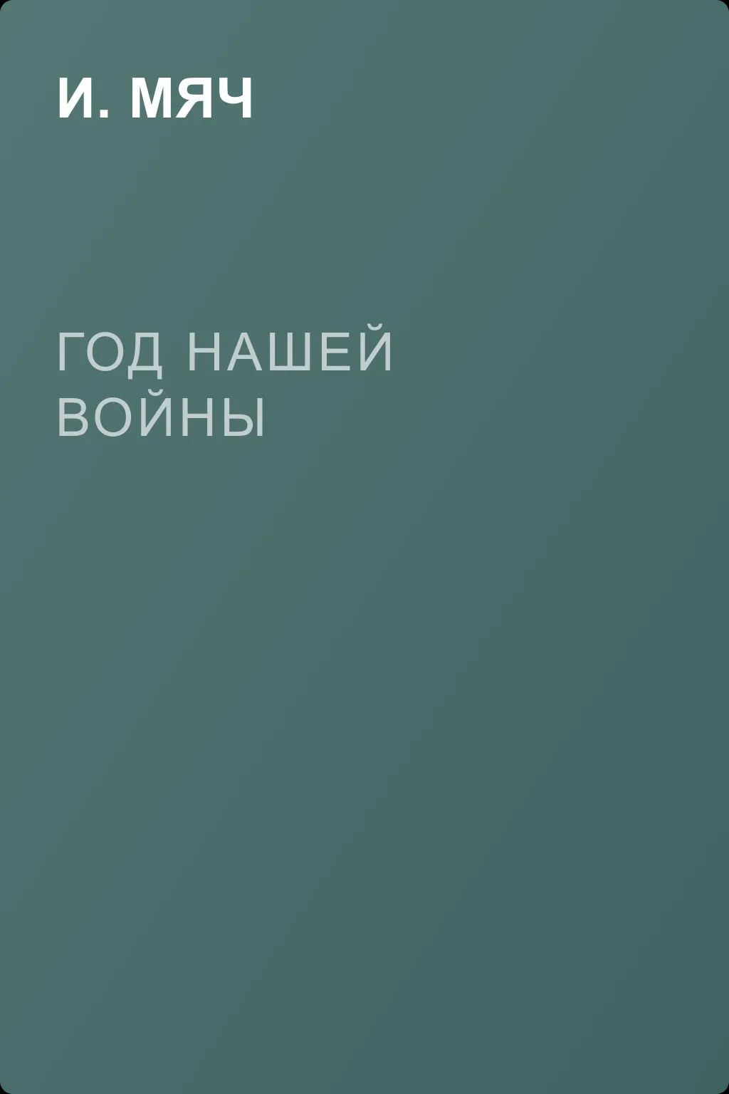 Год нашей войны — обложка книги