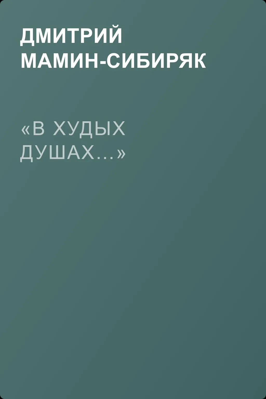 «В худых душах…» — обложка книги