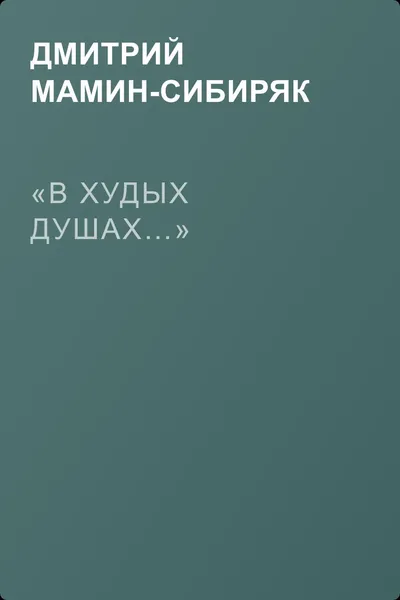 «В худых душах…» — обложка книги