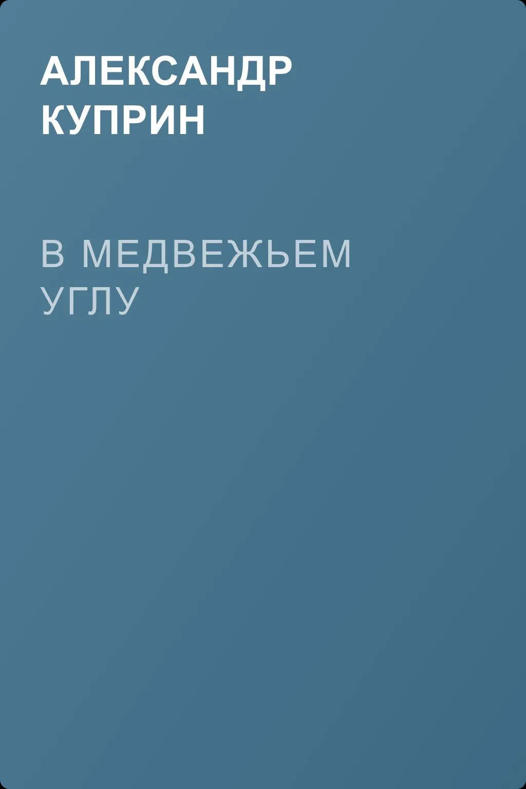В медвежьем углу — обложка книги
