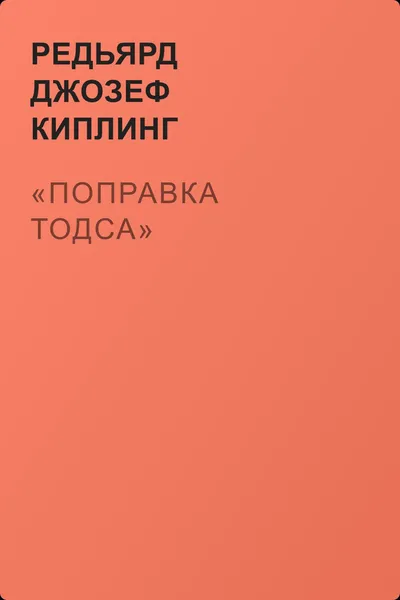«Поправка Тодса» — обложка книги