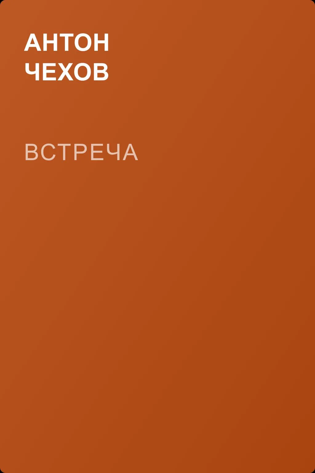 Встреча — обложка книги