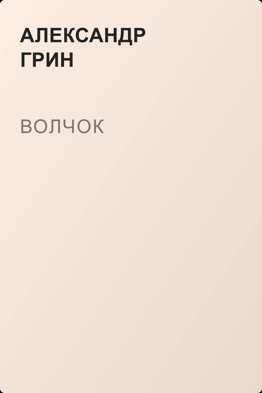 Волчок — обложка книги