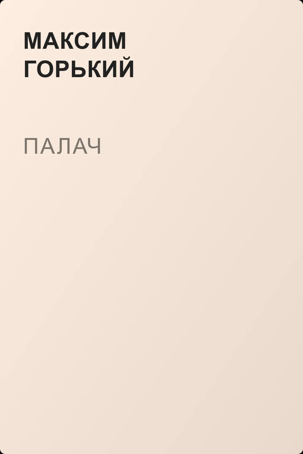 Палач — обложка книги