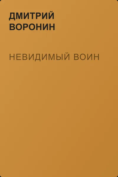 Невидимый воин — обложка книги