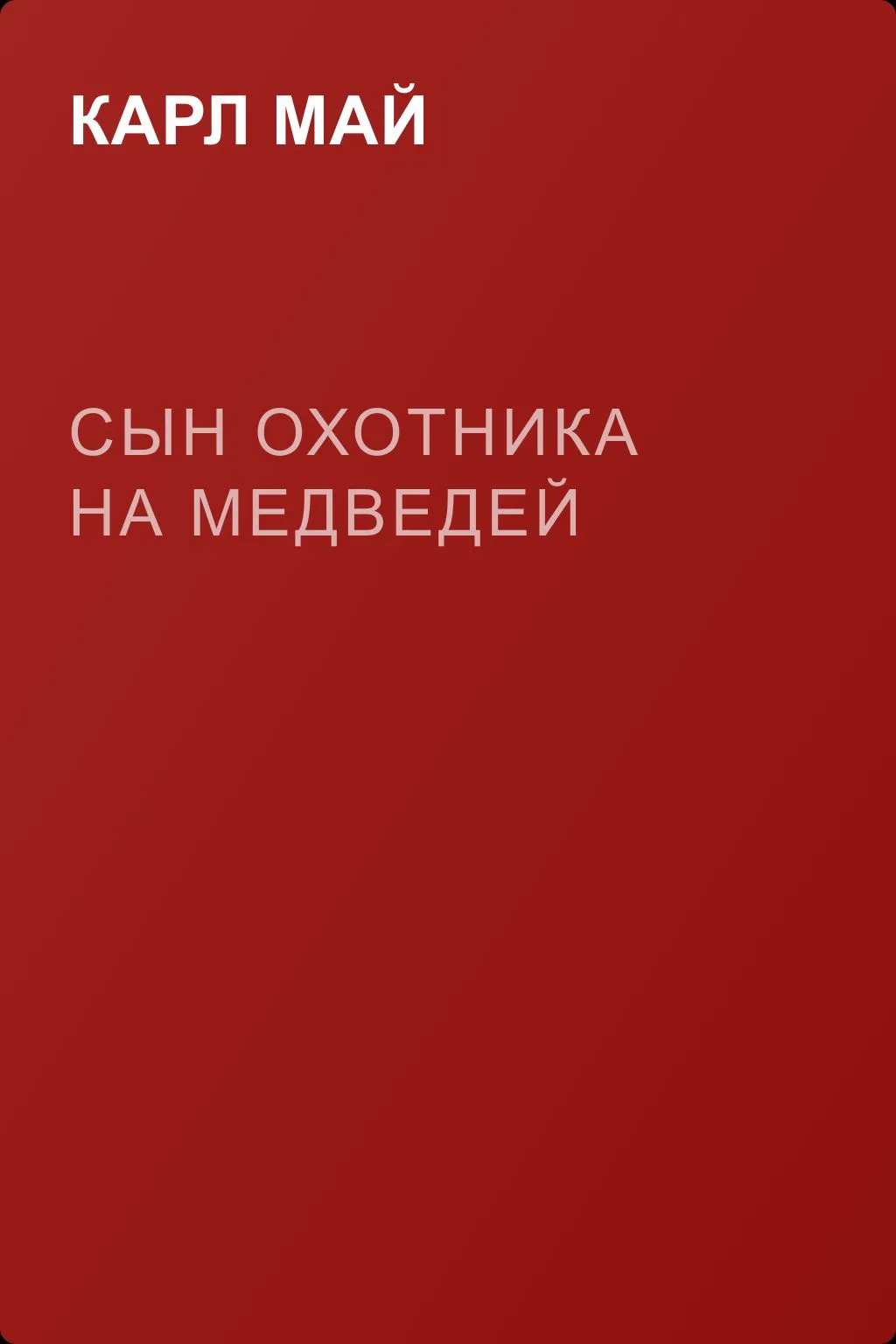 Сын охотника на медведей — обложка книги