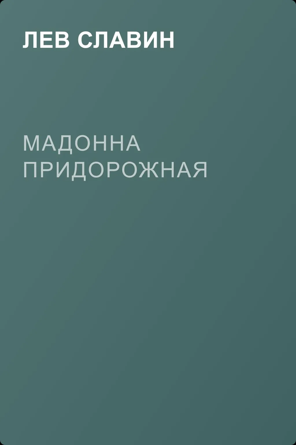 Мадонна Придорожная — обложка книги