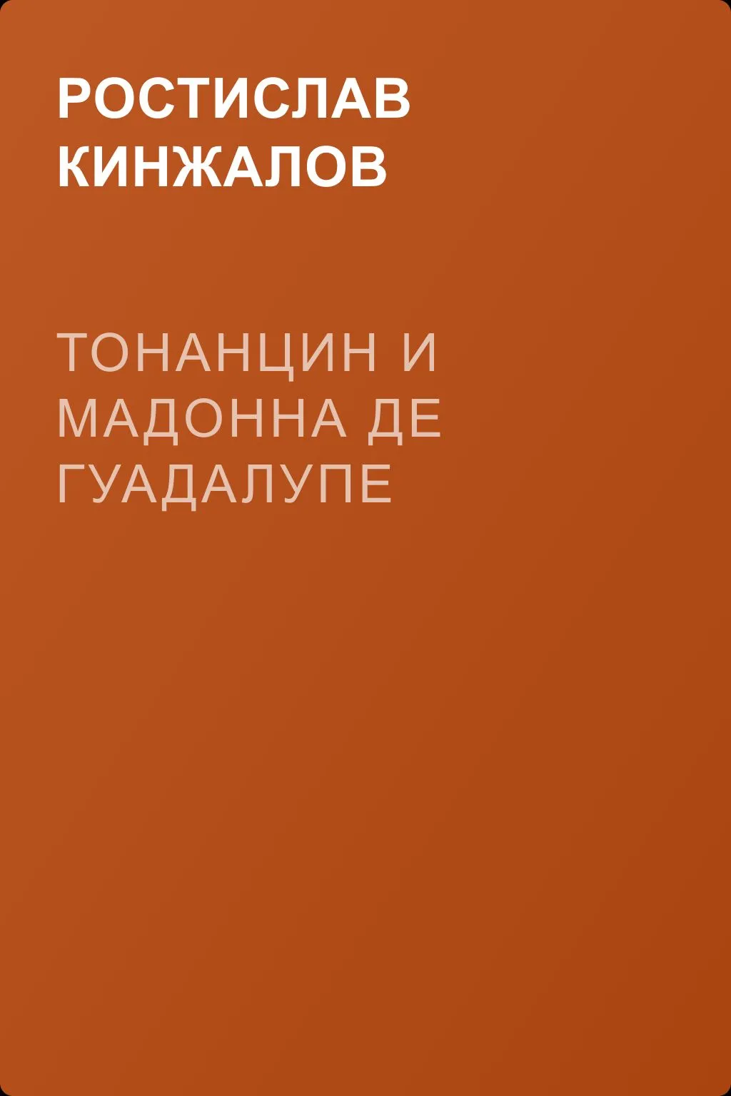 Тонанцин и Мадонна де Гуадалупе — обложка книги