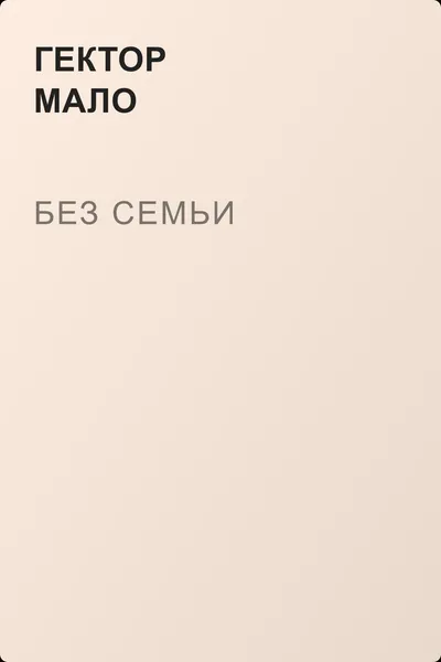Без семьи — обложка книги