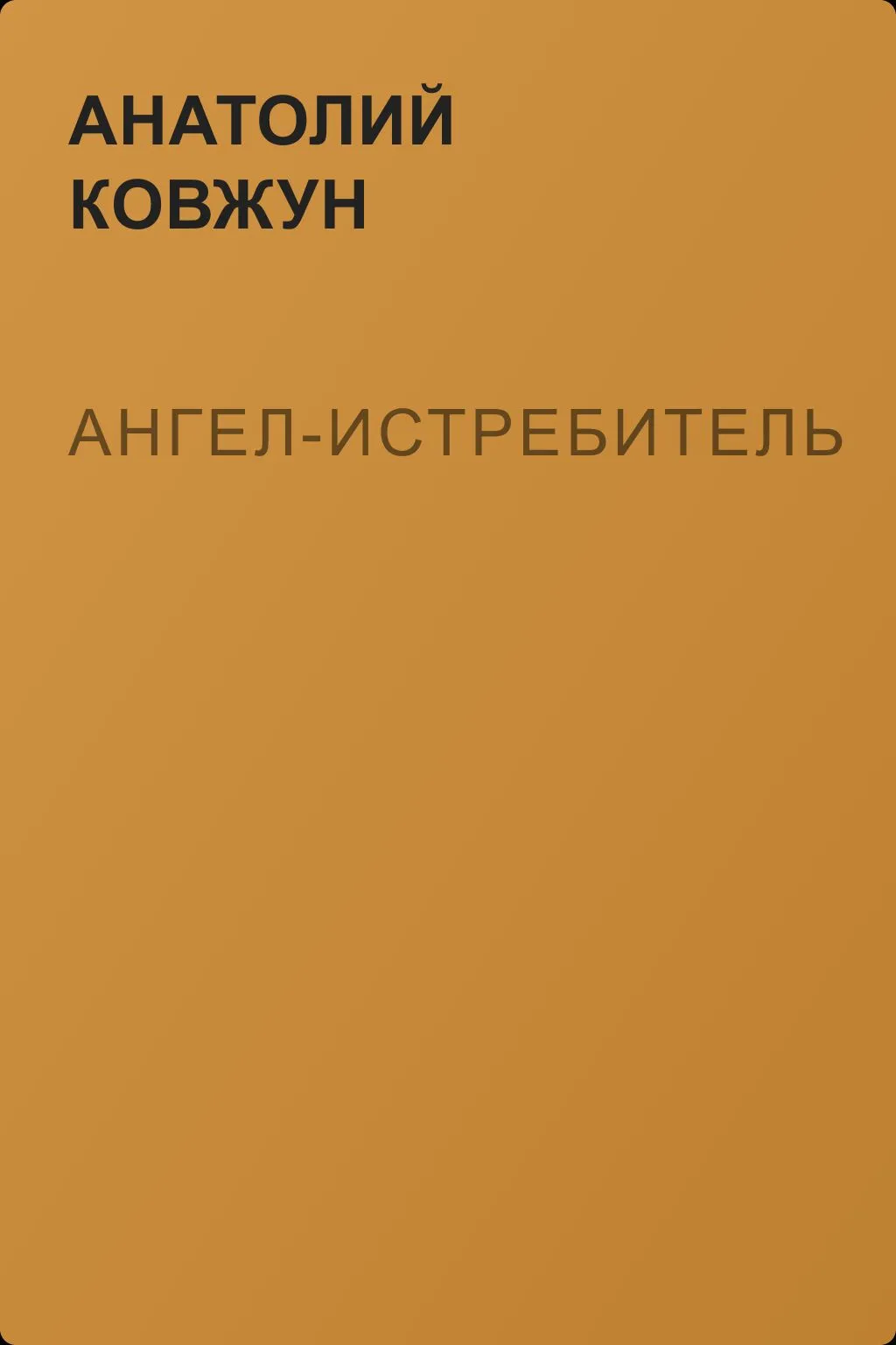 Ангел-истребитель — обложка книги