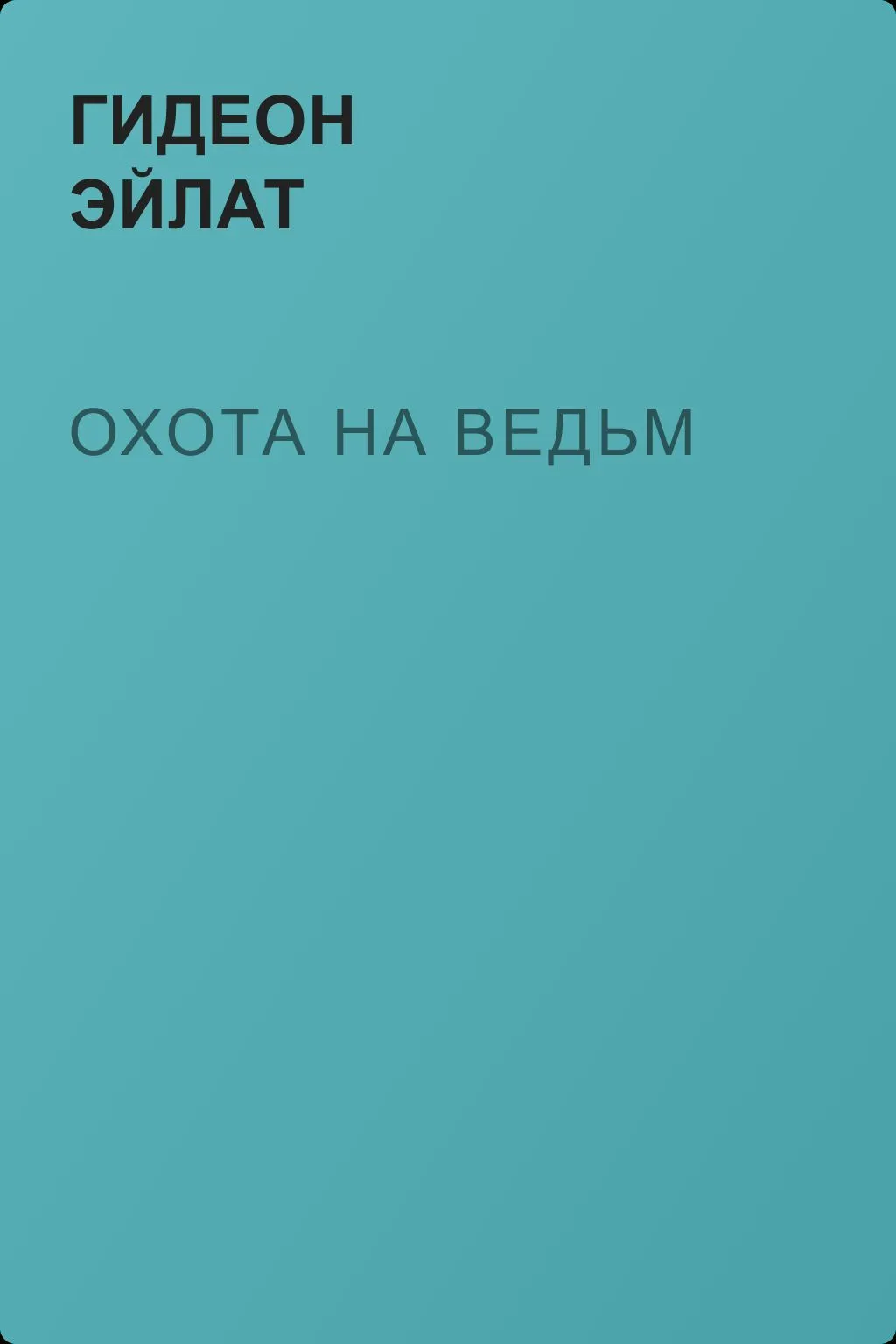 Охота на ведьм — обложка книги