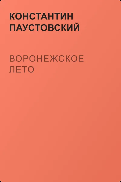 Воронежское лето — обложка книги