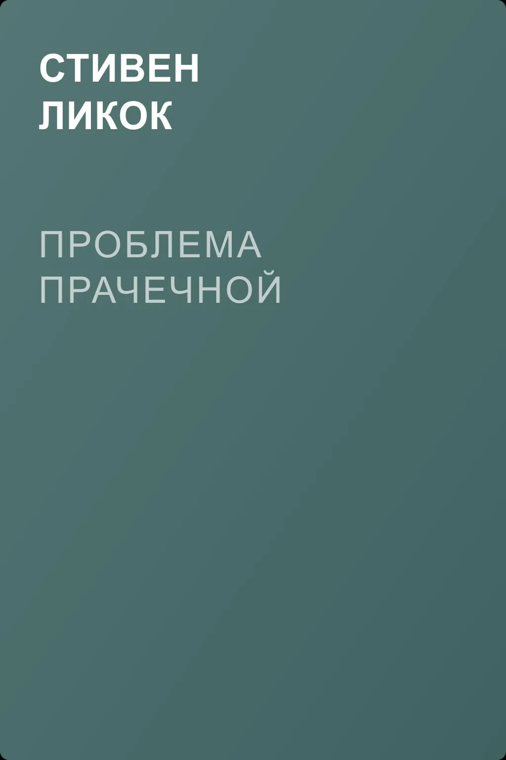 Проблема прачечной — обложка книги