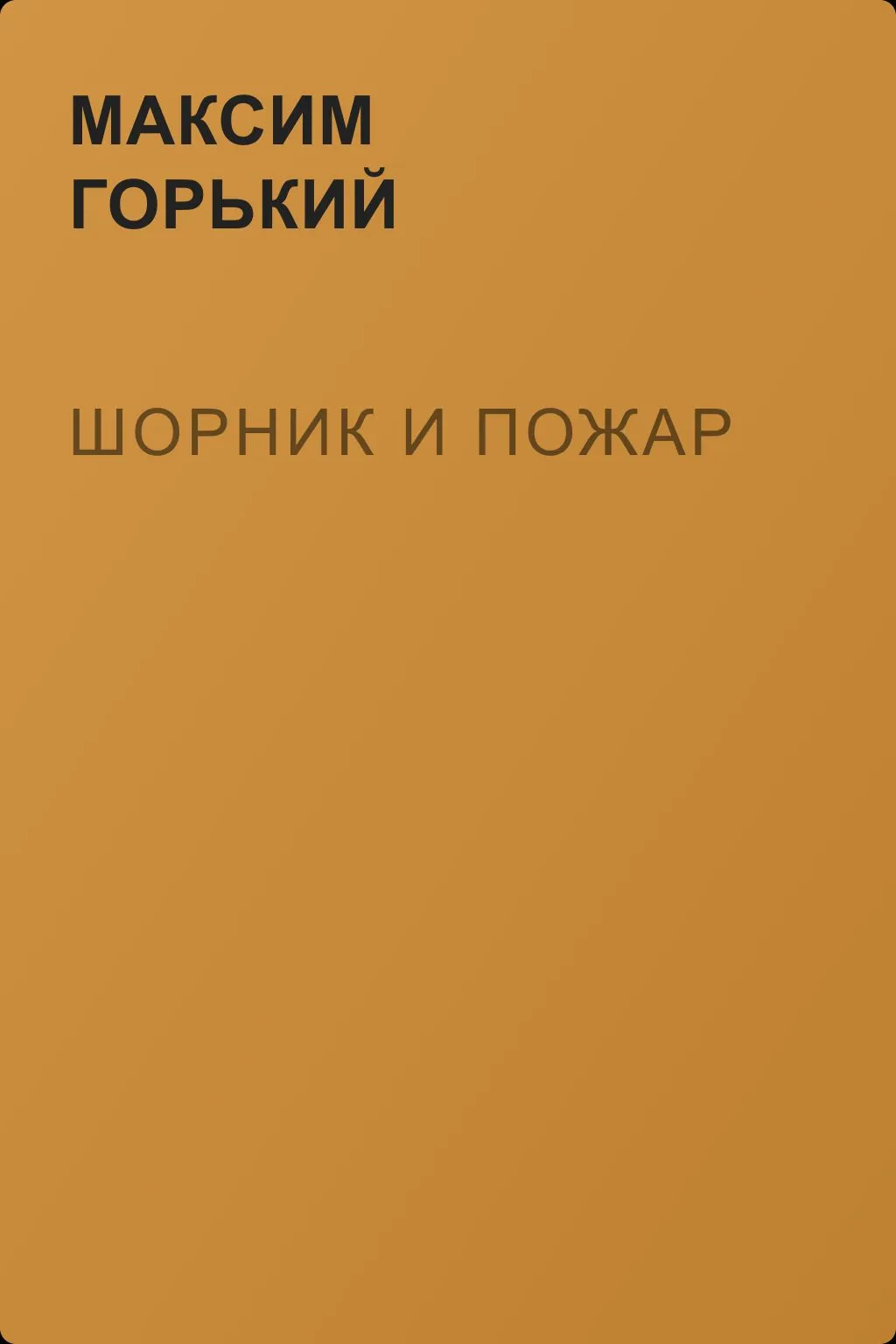 Шорник и пожар — обложка книги