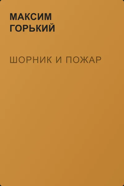 Шорник и пожар — обложка книги