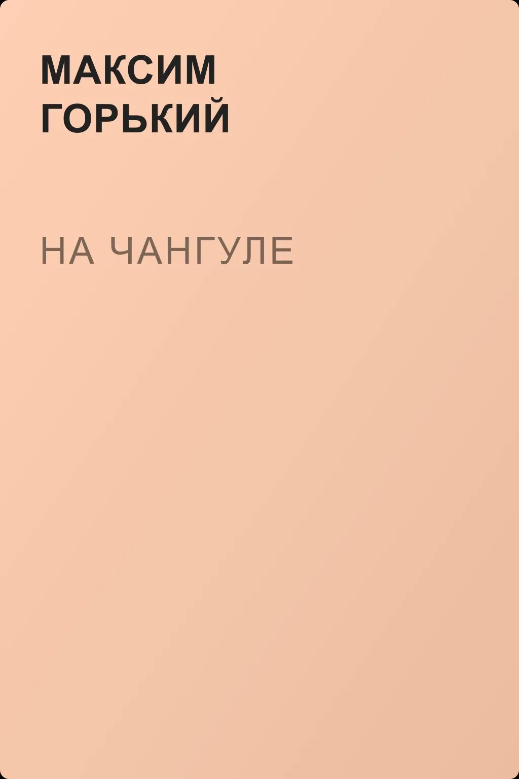 На Чангуле — обложка книги