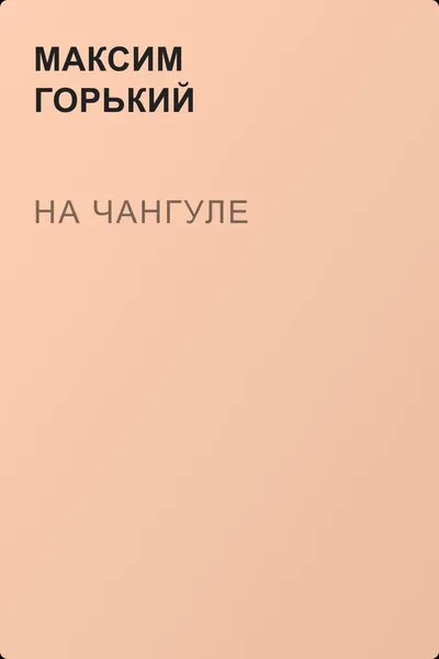 На Чангуле — обложка книги