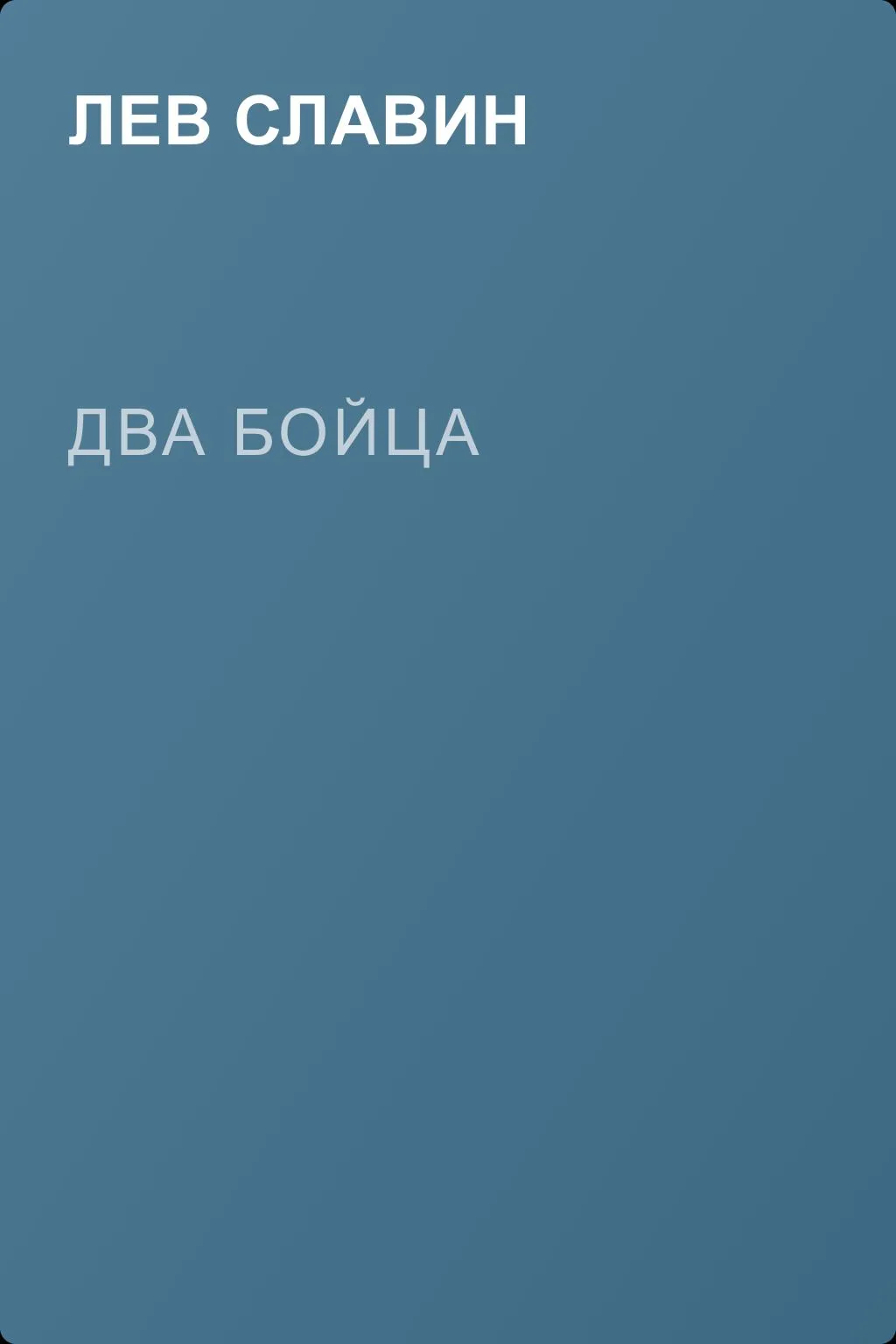 Два бойца — обложка книги