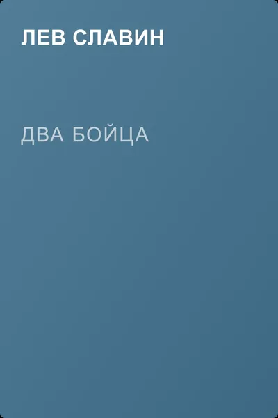 Два бойца — обложка книги