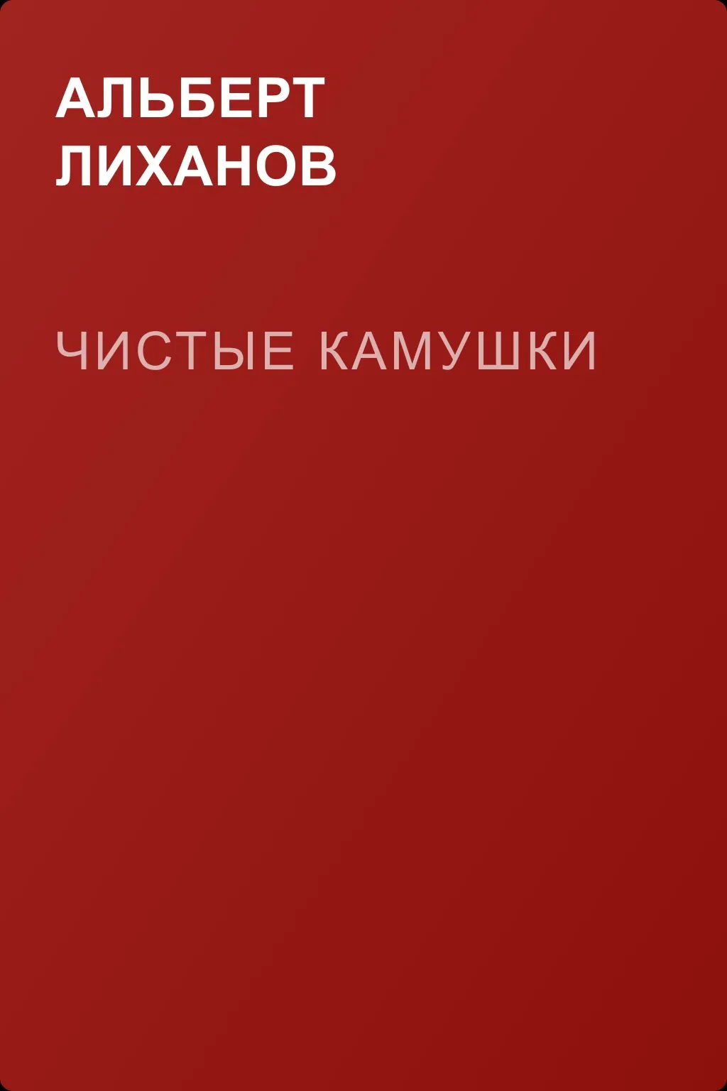 Чистые камушки — обложка книги