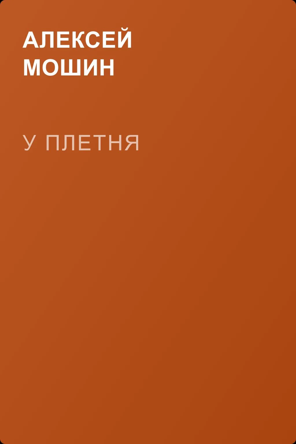У плетня — обложка книги