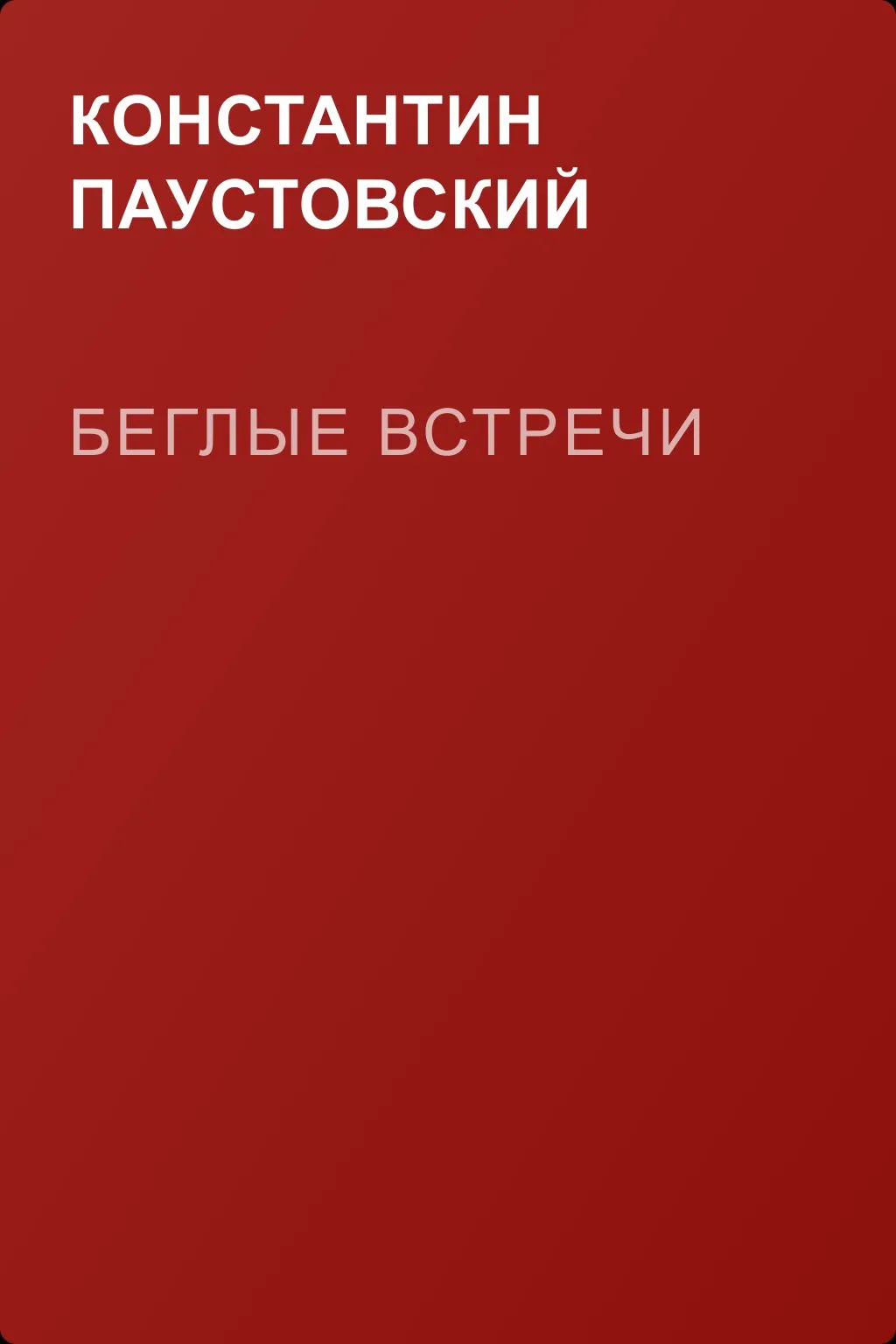Беглые встречи — обложка книги