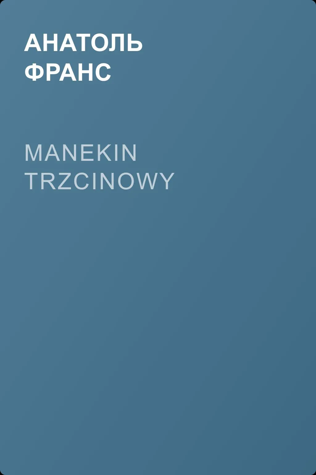 Manekin trzcinowy — обложка книги