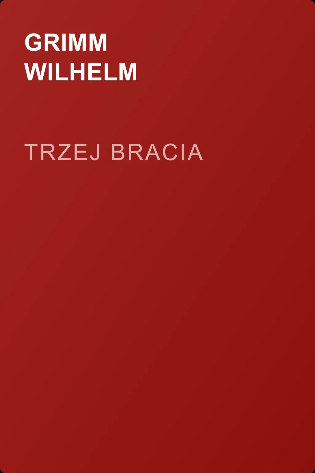Trzej bracia — обложка книги