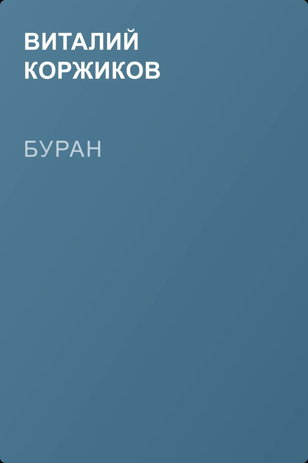 Буран — обложка книги