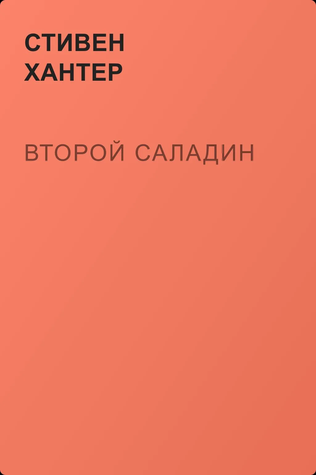 Второй Саладин — обложка книги