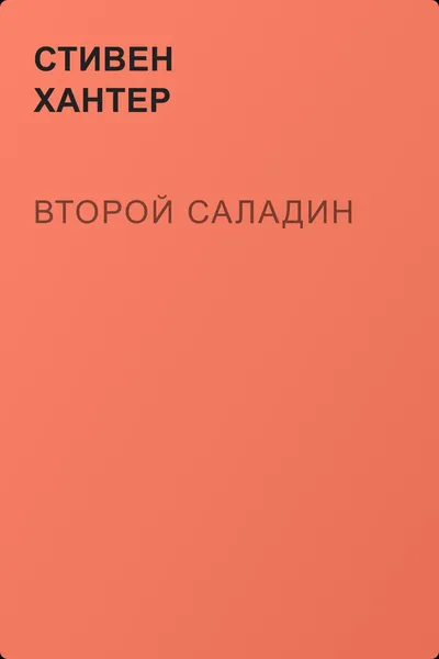 Второй Саладин — обложка книги