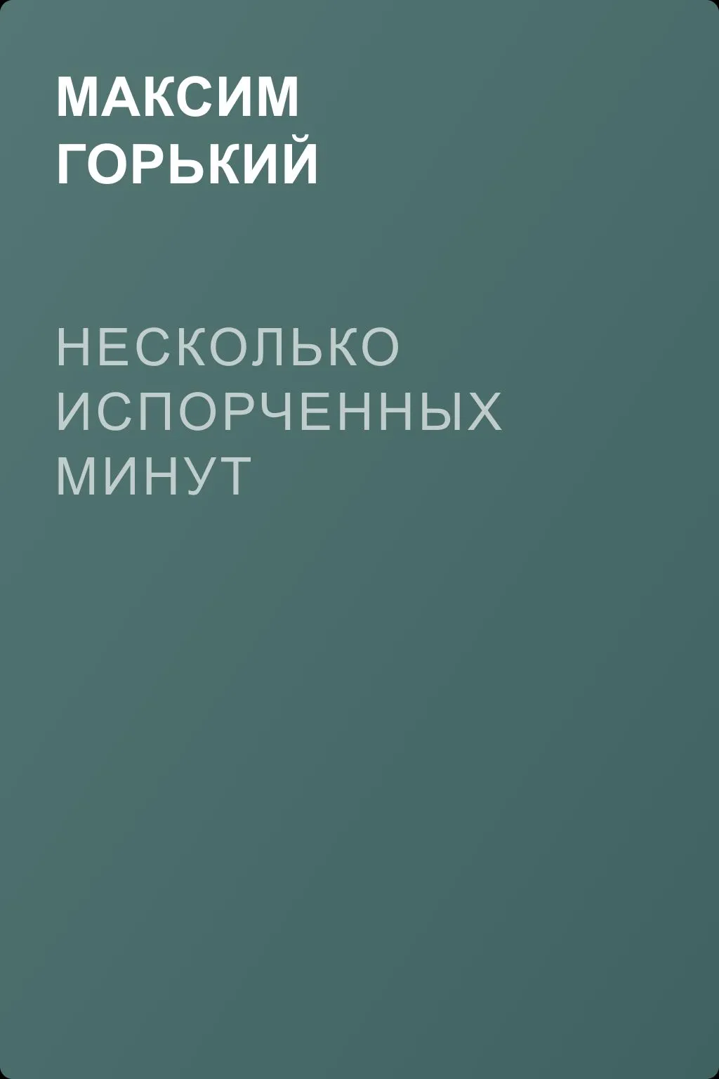 Несколько испорченных минут — обложка книги