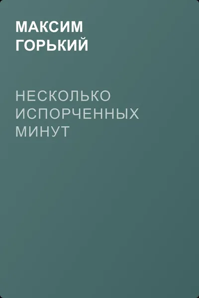 Несколько испорченных минут — обложка книги