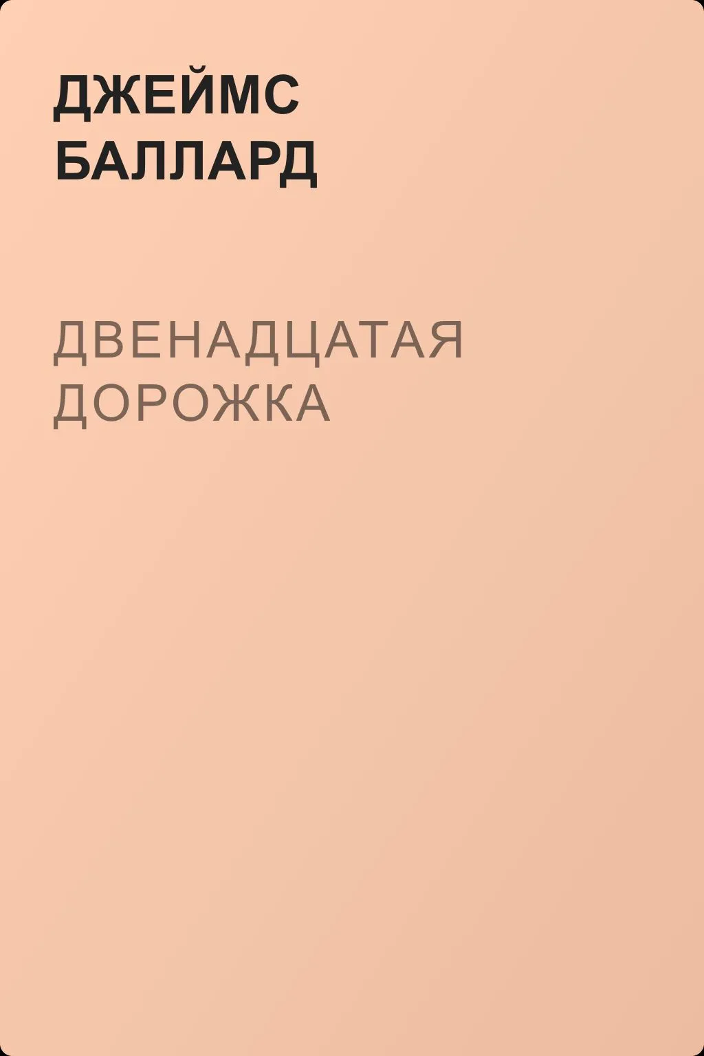 Двенадцатая дорожка — обложка книги
