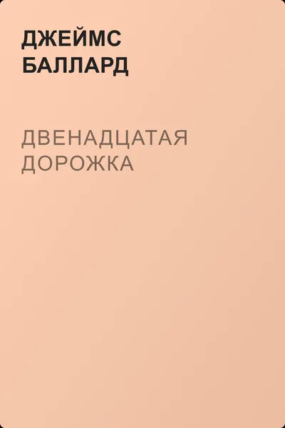 Двенадцатая дорожка — обложка книги