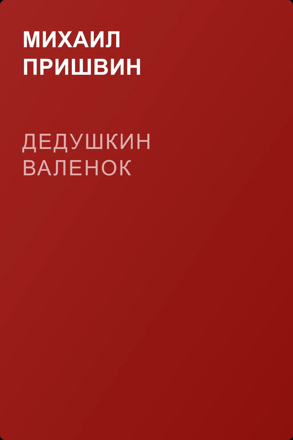 Дедушкин валенок — обложка книги
