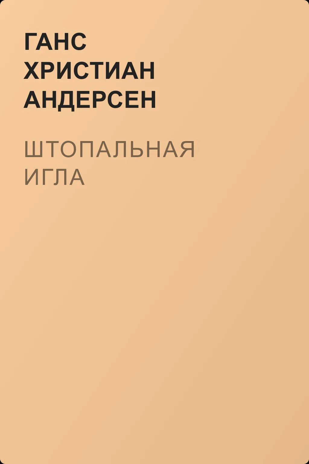 Штопальная игла — обложка книги