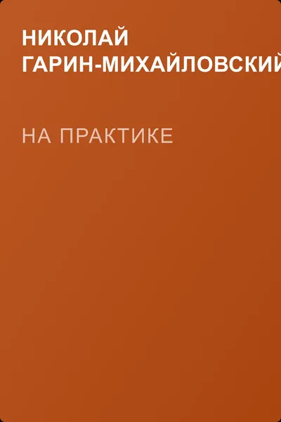 На практике — обложка книги
