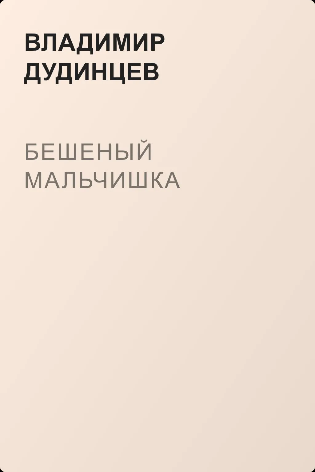 Бешеный мальчишка — обложка книги