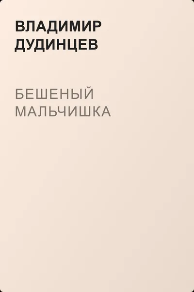 Бешеный мальчишка — обложка книги