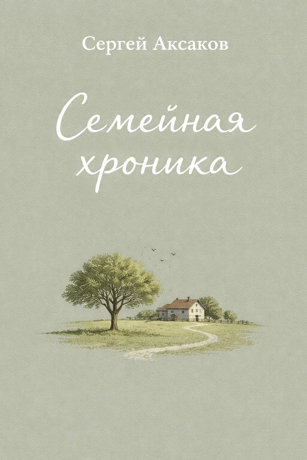 Семейная хроника — обложка книги