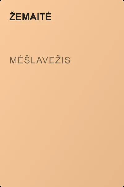 Mėšlavežis — обложка книги
