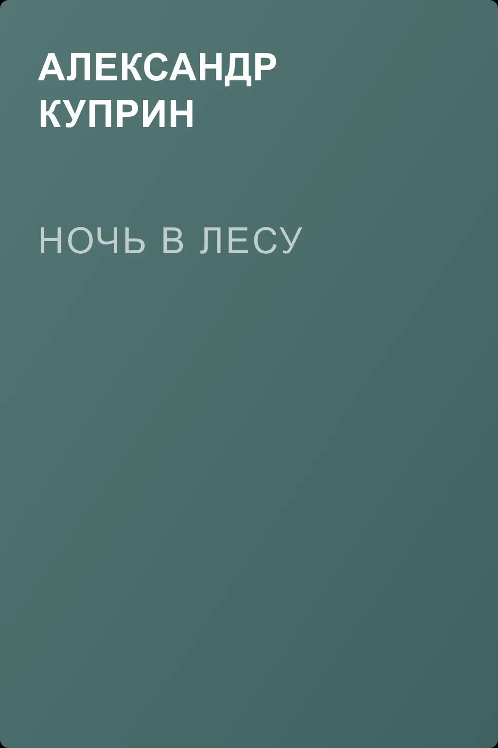 Ночь в лесу — обложка книги