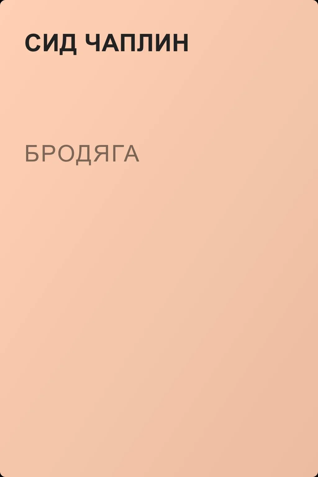 Бродяга — обложка книги